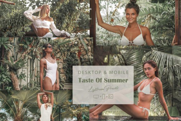 Download 12 Taste of Summer Lightroom Presets - Summer lightroom presets Collection